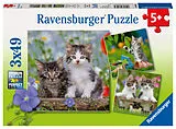 Süße Samtpfötchen Kinderpuzzle Spiel