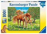 Pferdeglück auf der Wiese Kinderpuzzle Spiel