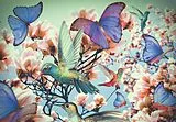 Hummingbird Puzzle Spiel
