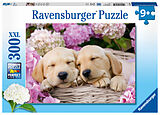 Ravensburger Kinderpuzzle - 13235 Süße Hunde im Körbchen - Hunde-Puzzle für Kinder ab 9 Jahren, mit 300 Teilen im XXL-Format Spiel