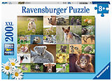 Ravensburger Kinderpuzzle - 13353 Süße Tierbabys - 200 Teile Puzzle für Kinder ab 8 Jahren Spiel