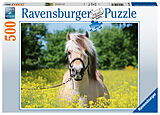 Ravensburger Puzzle 15038 - Pferd im Rapsfeld - 500 Teile Puzzle für Erwachsene und Kinder ab 10 Jahren, Pferde-Puzzle Spiel