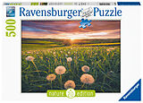 Ravensburger Puzzle - Pusteblumen im Sonnenuntergang - Nature Edition 500 Teile Spiel