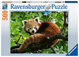 Ravensburger Puzzle 17381 Süßer roter Panda - 500 Teile Puzzle für Erwachsene und Kinder ab 1´2 Jahren Spiel