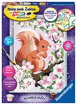 Neugieriges Eichhörnchen Malen nach Zahlen Spiel