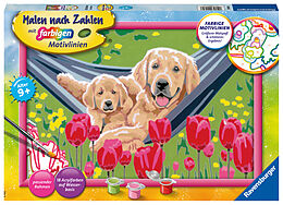 Spiel (Non) Ravensburger Malen nach Zahlen 20164 - Kuschelpause  Kinder ab 9 Jahren von 