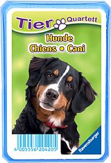 Tierquartett Hunde Spiel