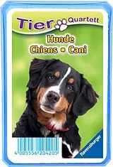 Tierquartett Hunde Spiel