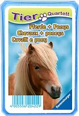 Tierquartett Pferde Spiel