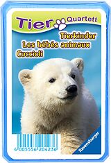 Tierquartett Tierkinder Spiel