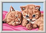 Malen nach Zahlen Feline Friends Spiel