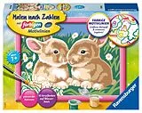 Niedliche Häschen Malen nach Zahlen Spiel