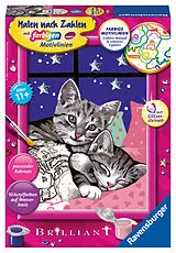 Schlafende Katzen Malen nach Zahlen Spiel