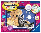 Funkelnder Sternenhimmel Malen nach Zahlen Spiel
