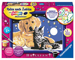 Ravensburger Malen nach Zahlen 28016 - Funkelnder Sternenhimmel - Kinder ab 9 Jahren Spiel