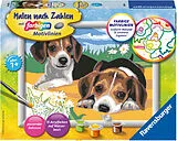 Jack Russel Welpen Malen nach Zahlen Spiel