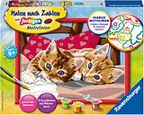 Zwei Schmusekätzchen Malen nach Zahlen Spiel