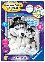 Husky Kuss Malen nach Zahlen Spiel