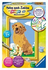 Kleiner Golden Retriever Malen nach Zahlen Spiel