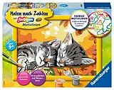 Ravensburger CreArt 28696 - Kätzchen im Herbst - Malen nach Zahlen Katze für Kin Spiel