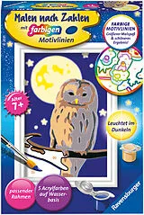 Nachteule Malen nach Zahlen Spiel