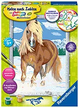 Haflinger im Schnee Malen nach Zahlen Spiel