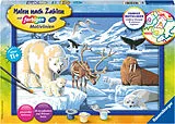 Tiere der Arktis Malen nach Zahlen Spiel
