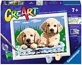 Malen nach Zahlen, CreArt. Cute Puppies Spiel