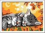 Malen nach Zahlen, CreArt. Autumn Kitties Spiel