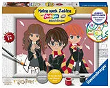 Harry Potter Malen nach Zahlen Zauberhafte Freundschaft Spiel
