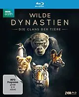 Wilde Dynastien - Die Clans Der Tiere Blu-ray