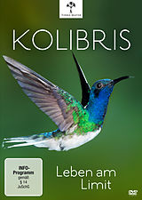 Kolibris - Leben am Limit DVD