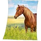 Young Collection 7524206035 - Pferd Fleece-Decke, 130x160 cm, 100% Polyester Spiel