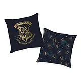 Klaus Herding - Harry Potter Soft Velboa Kissen 40 40 cm Spiel