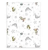 Harry Potter 1474402014 - Microfaserflausch-Decke, 75 x 100 cm, 100% Polyester Spiel