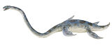 Elasmosaurus Museum Line, Spielfigur Spiel