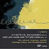 Rial/Lehmkuhl/Winckhler/Rademann/Gaechinger Cant. CD Kantaten-Ich hatte viel Bekümmernis BWV 21/+