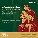 Feuersinger/Wey/Speck/Vocalens. Rastatt/Les Favor. CD Friede auf Erden - Rekonstruierte Kantaten