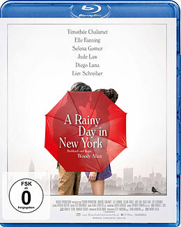 A Rainy Day In New York Blu-ray