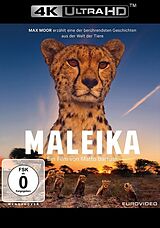 Maleika Blu-ray UHD 4K + Blu-ray