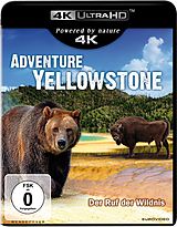 Adventure Yellowstone - Der Ruf der Wildnis Blu-ray UHD 4K