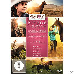 Pferde Box DVD