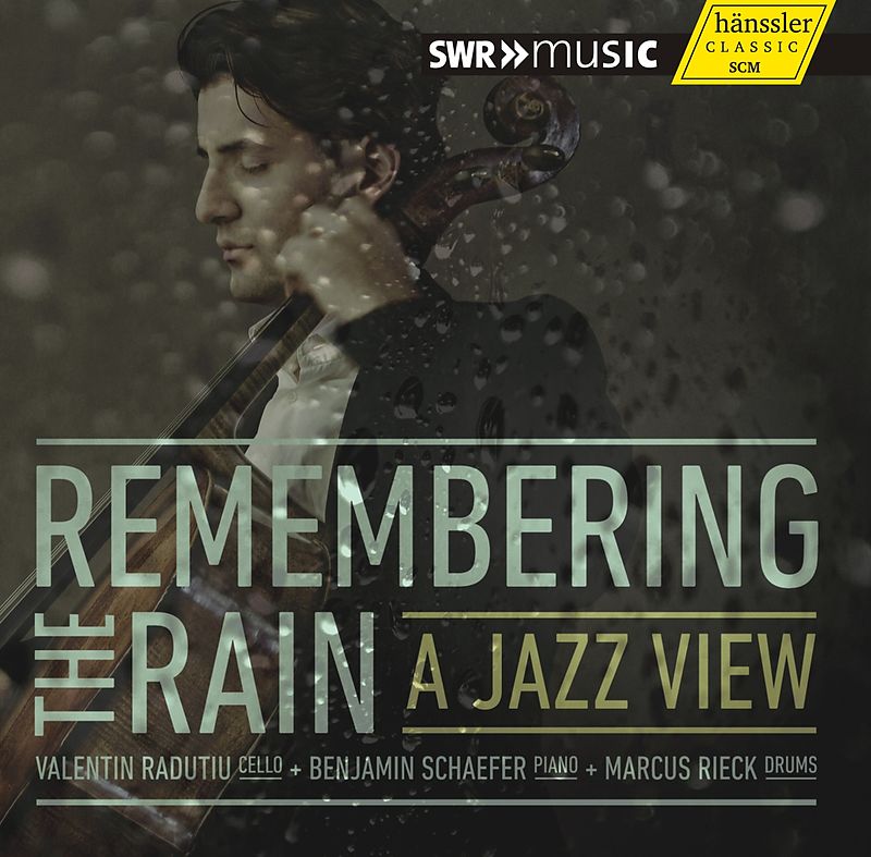 Remembering The Rain-A Jazz View