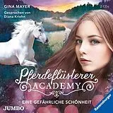 Diana Müller CD Pferdeflüsterer-academy (3)