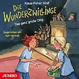 Audio CD (CD/SACD) Die Wunderzwillinge von