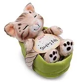 Nici 49747 - Sleeping Pets, Katze Bengal 12cm, schlafend im Körbchen (grün), Plüsch, GREEN Spiel