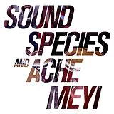 Soundspecies & Ache Meyi LP (analog) Soundspecies & Ache Meyi