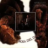 Antonio Calogero CD La Rosa Del Deserto