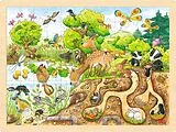 Einlegepuzzle Erlebnis Natur Spiel