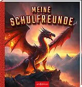 Kartonierter Einband Meine Schulfreunde Drachen von